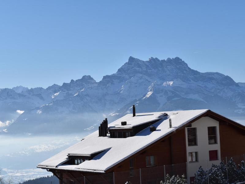 Domaine Du Parc 101B Apartment Leysin Luaran gambar